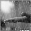WinterStorm